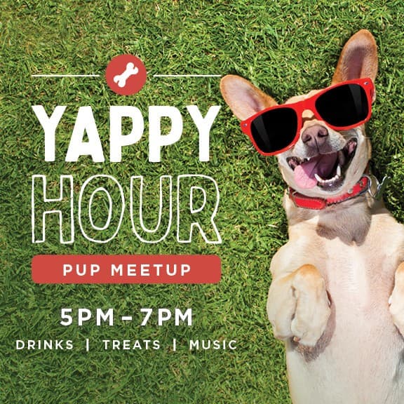 Yappy Hour pup meetup event flyer with a dog in sunglasses, 5 to 7 PM, drinks, treats, and music