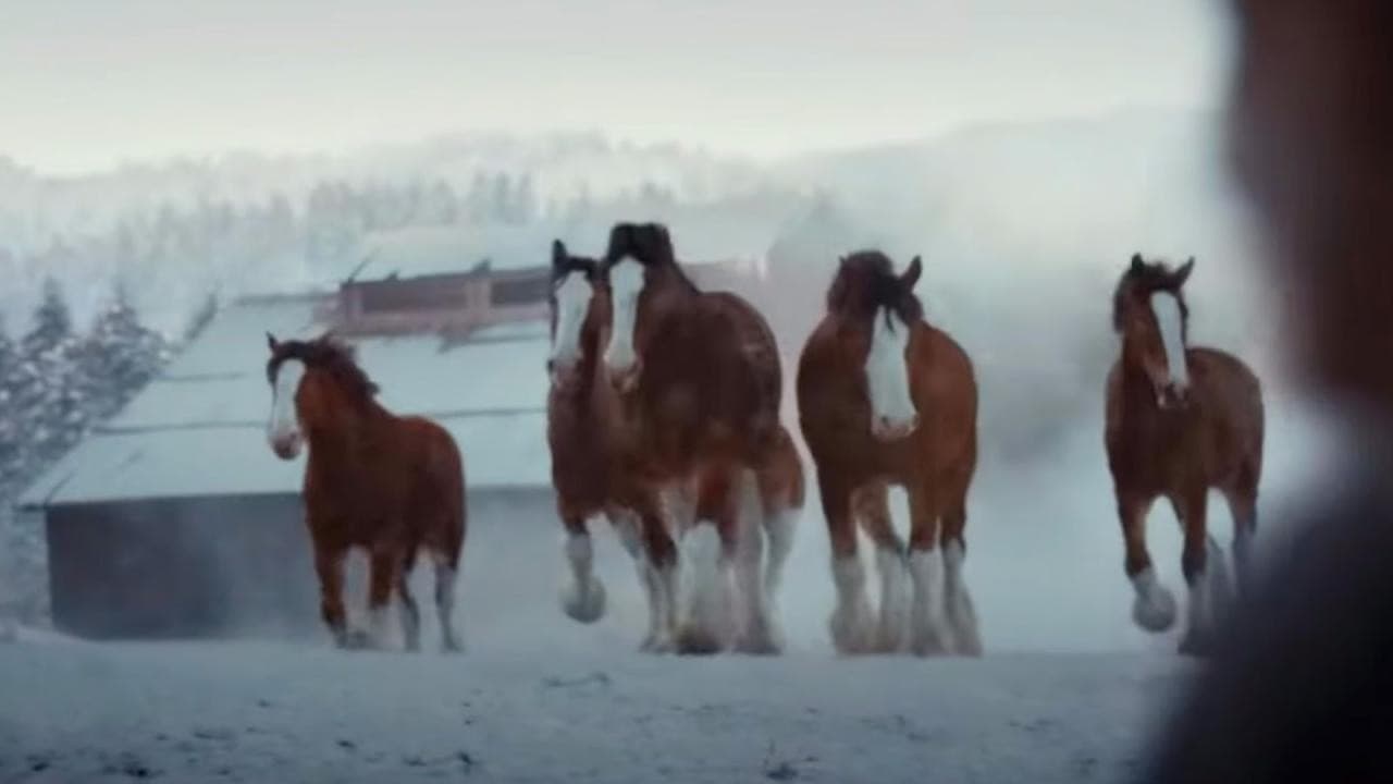 Super Bowl ad scene: Clydesdale horses gallop through snow past a barn
